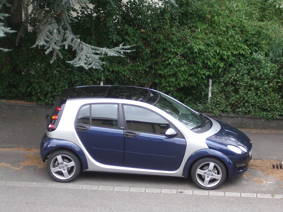 Treuer Begleiter: Smart ForFour Passion