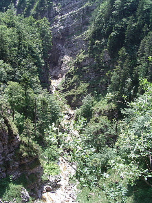 Der Fischbach fließt tief im Tal