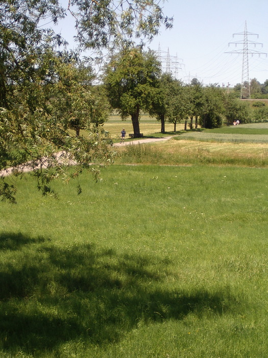 Ausrollen vor Herrenberg