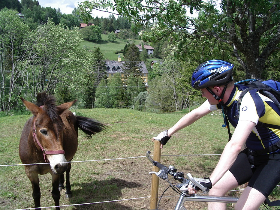 Idyllischer Schwarzwald